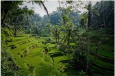 Glasschilderij Pure Art - Bali Landscape