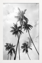 JUNIQE - Poster met houten lijst Palme Bounty -40x60 /Grijs & Wit