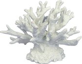 Aqua Della Pillar - Aquarium - Ornament - 15x11.5x12 cm Wit