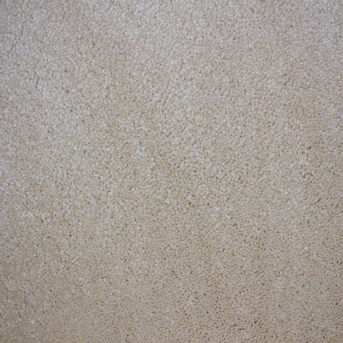 Vloerkleed Xilento Soft Koren | 170 x 230 cm
