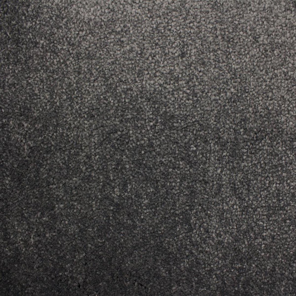 Vloerkleed Xilento Soft Basalt | 200 x 300 cm