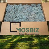 MosBiz Rendiermos Ice blue 2 laags (2,6 kilo) voor decoraties, schilderijen en mos wanden