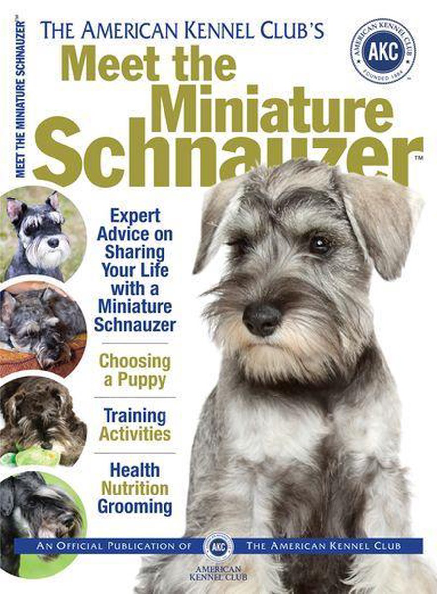 Ontslag grillen Nauwgezet AKC Meet the Breed Series - Meet the Miniature Schnauzer (ebook), American  Kennel Club... | bol.com