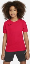 Nike Dri-Fit Academy 21 shirt jongens roze