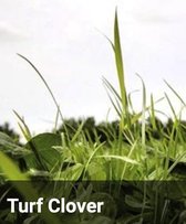 Hermie Turf clover 1kg - klaver om in te zaaien in je gazon