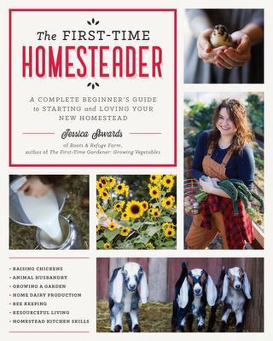 The First-Time Homesteader - cover