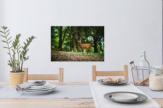 Sticker Muursticker Animaux Libres - Cerf au premier plan - 60x40 cm - film adhésif autocollant - sticker mural repositionnable