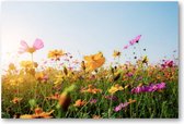 Bloemen in veld met zonsondergang - 1500 Stukjes puzzel voor volwassenen - Natuur - Bloemen