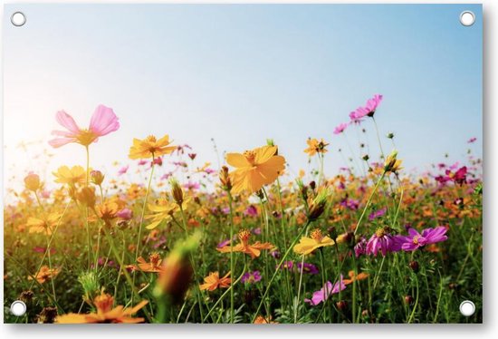 Bloemen in veld met zonsondergang - Tuinposter 120x80 - Wanddecoratie - Natuur - Bloemen