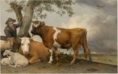 De stier, Paulus Potter - Foto op Forex - 90 x 60 cm