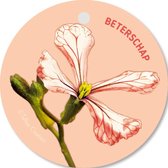 Tallies Cards - kadokaartjes  - bloemenkaartjes - Beterschap - Flowerpower - set van 5 kaarten - beterschap - ziekte - 100% Duurzaam