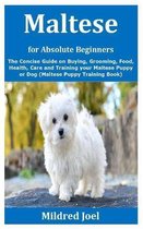 Maltese for Absolute Beginners