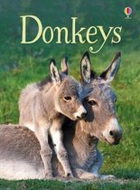 Donkeys Beginners Beginners Series