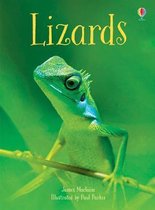 Lizards