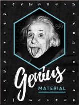 Einstein Genius Material. Koelkastmagneet 8 cm x 6 cm.
