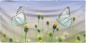 Tuinposter - vlinders van dichtbij - zon- en waterbestendig - - 100x50 cm
