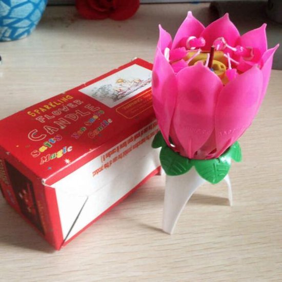 Foto: 