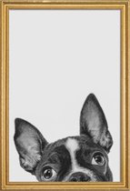 JUNIQE - Poster met houten lijst French Bulldog II -13x18 /Grijs &