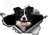 Border Collie 3D-3D Sticker-voor op de auto-scooter-Boot-Koelkast- kwaliteit sticker- geen merk