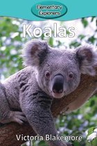 Elementary Explorers- Koalas