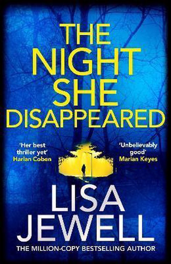 The Night She Disappeared - cover