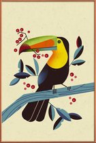 JUNIQE - Poster met kunststof lijst Toucan II -40x60 /Kleurrijk