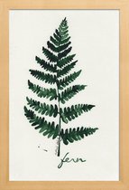 JUNIQE - Poster in houten lijst Fern -30x45 /Groen & Ivoor