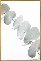 JUNIQE - Poster met kunststof lijst Eucalyptus White 3 -20x30 /Groen &