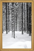 JUNIQE - Poster met houten lijst Deep Dark White Forest -30x45 /Grijs