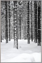 JUNIQE - Poster met kunststof lijst Deep Dark White Forest -40x60
