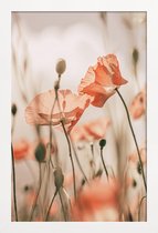 JUNIQE - Poster in houten lijst Sunkissed Flowers 1 -20x30 /Grijs &