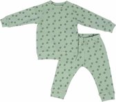 Lodger Baby Pyjama Meisje maat 80 - Sleeper - 2-Delig - 100% Katoen - Oeko-Tex - Ademend - Veilige Pasvorm - Groen - 9-12M