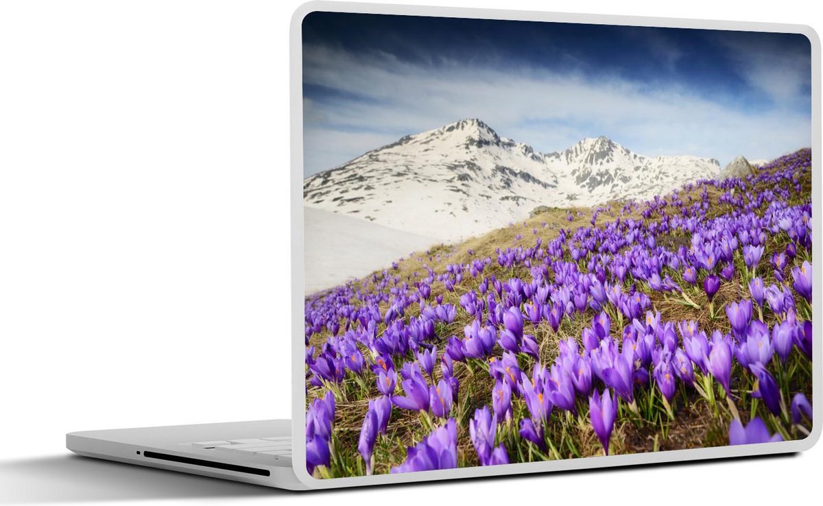 Laptop sticker - 13.3 inch - Bergen - Sneeuw - Bloemenweide - 31x22,5cm - Laptopstickers - Laptop skin - Cover