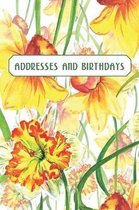 Addresses and Birthdays