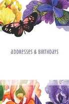 Addresses & Birthdays