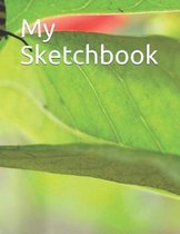 My Sketchbook
