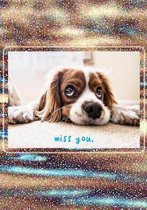 miss you: 7x10 puppy with sad eyes
