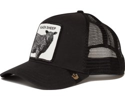Goorin Bros. Be Reckless Trucker cap