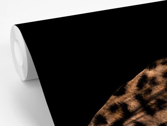 Papier peint - Papier peint photo Femme - Foulard - Marron - Largeur 160 cm x hauteur 240 cm