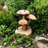 Stand Mushroom On root L2 - 30 cm hoog - paddenstoelen - gedroogd wortelhout - exotische teak - uniek - natuurlijk en handgemaakt - voor binnen en buiten - interieurdecoratie - tuindecoratie 