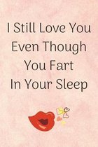 I Still Love You Even Though You Fart In Your Sleep