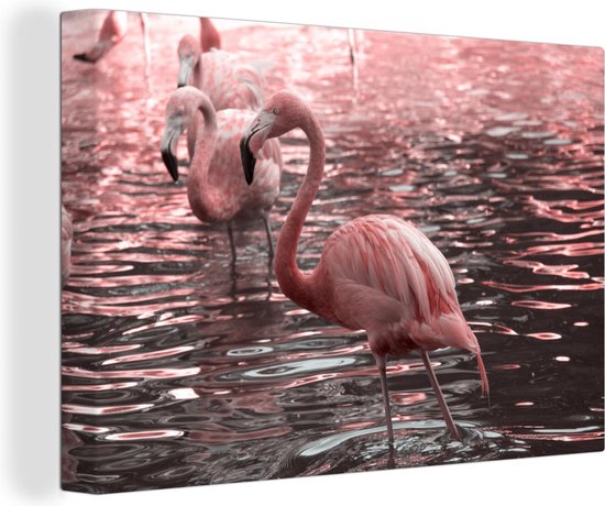 Canvas schilderij 140x90 cm - Wanddecoratie Een groep flamingo's staat in het water - Muurdecoratie woonkamer - Slaapkamer decoratie - Kamer accessoires - Schilderijen