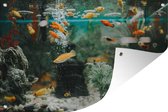 Tuindecoratie Kleine visjes in een aquarium - 60x40 cm - Tuinposter - Tuindoek - Buitenposter