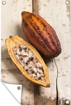 Tuindecoratie Tropische cacaobonen op een houten achtergrond - 40x60 cm - Tuinposter - Tuindoek - Buitenposter