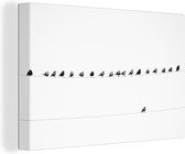 Zwart et blanc de l'individualisme avec des oiseaux sur toile 120x80 cm - Tirage photo sur toile (Décoration murale salon / chambre)