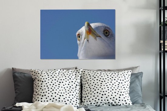 Gros plan de mouette 90x60 cm - Tirage photo sur toile (Décoration murale salon / chambre)