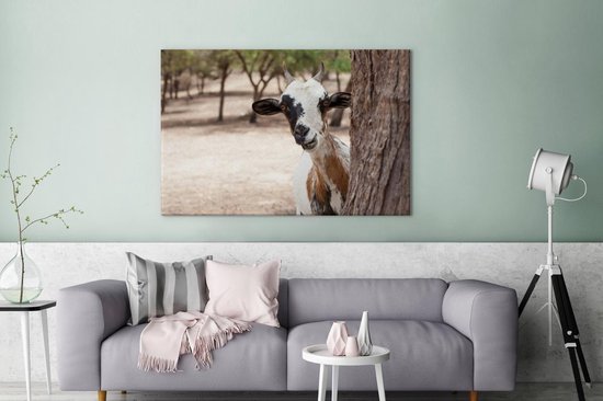 Chèvre curieuse derrière un arbre 120x80 cm - Tirage photo sur toile (Décoration murale salon / chambre) / Peintures sur toile Mammifères