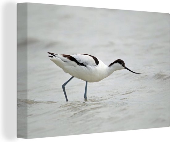 Canvas schilderij Kluut in stromend water