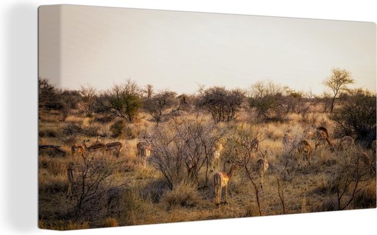 Canvas Schilderij Landschap van het Krugerpark in Zuid-Afrika - 80x40 cm - Wanddecoratie