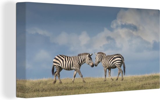 Canvas Schilderijen - Verliefde zebra's - Wanddecoratie